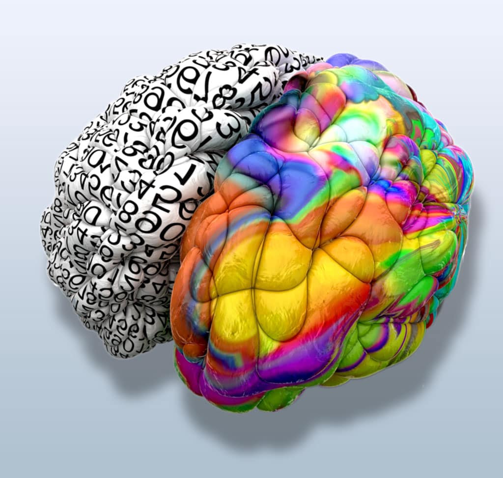 multicoloured brain