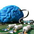 Blue brain & motherboard