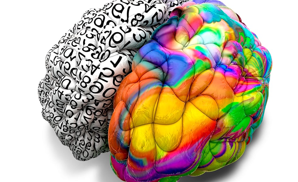 Brain with a brightly coloured right hemisphere and a left hemisphere covered in numbers